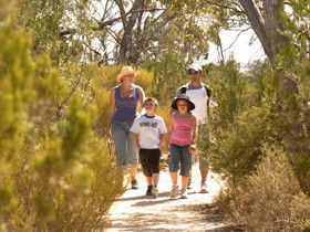 Pepper Tree Cottage - Accommodation Adelaide 0