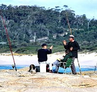 Binalong Bungalows - Accommodation Adelaide