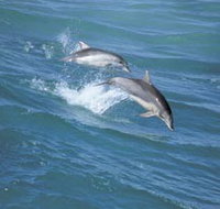 Seachange - Accommodation Adelaide