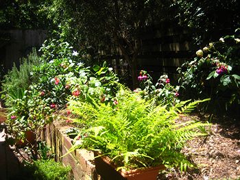 Bungunyah Apartments - Accommodation Adelaide 1