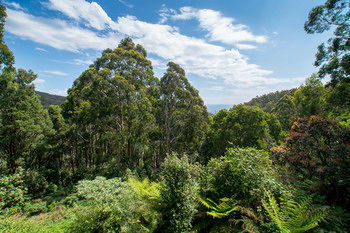 A Camelot Tower & Penthouse - Accommodation Adelaide 46