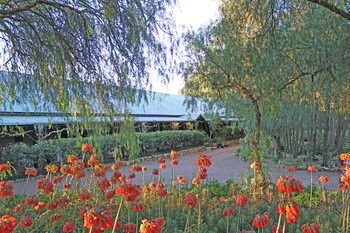 Casuarina Estate - Accommodation Adelaide 49