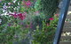 Linley House Bed & Breakfast - thumb 30