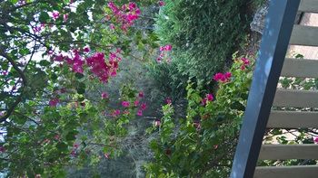 Linley House Bed & Breakfast - Accommodation Adelaide 30