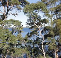 The Edgewater Bed amp Breakfast - Accommodation Adelaide