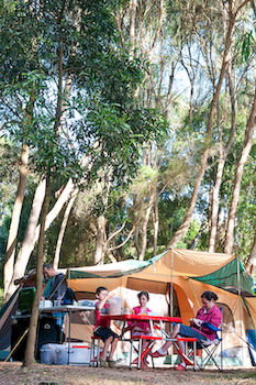 BIG4 Yarra Valley Holiday Park - Accommodation Adelaide 8