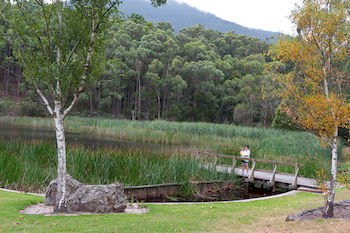 BIG4 Yarra Valley Holiday Park - Accommodation Adelaide 12