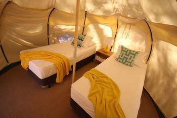 BIG4 Yarra Valley Holiday Park - Accommodation Adelaide 35