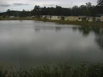Australian Motor Homes Tourist Park - Accommodation Adelaide 3