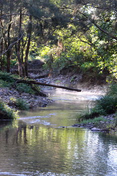 Yabbaloumba Retreat - Accommodation Adelaide 5