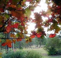 Elfin Hill Country Accommodation - Accommodation Adelaide