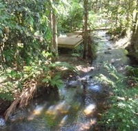 Treetops Accommodation Montville - Accommodation Adelaide