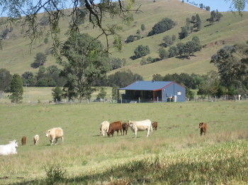 The Wattle Lodge - Accommodation Adelaide 19