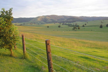 The Wattle Lodge - Accommodation Adelaide 21