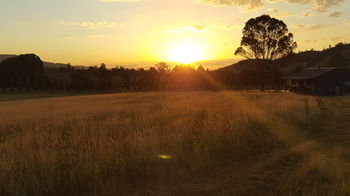 The Wattle Lodge - Accommodation Adelaide 35