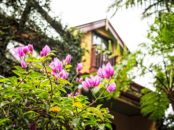 The Regents Park - Accommodation Adelaide 3