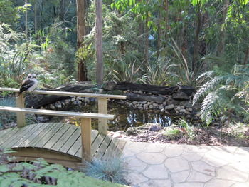 Myers Creek Cascades Luxury Cottages - Accommodation Adelaide 2
