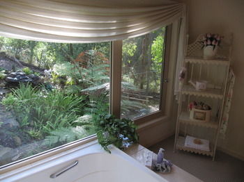 Myers Creek Cascades Luxury Cottages - Accommodation Adelaide 8