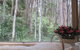 Myers Creek Cascades Luxury Cottages - thumb 10