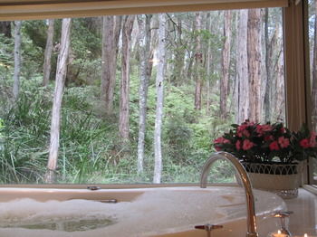 Myers Creek Cascades Luxury Cottages - Accommodation Adelaide 10