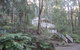 Myers Creek Cascades Luxury Cottages - thumb 14
