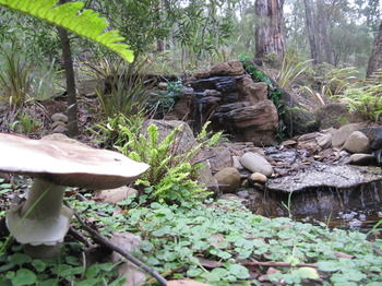 Myers Creek Cascades Luxury Cottages - Accommodation Adelaide 23