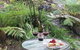 Myers Creek Cascades Luxury Cottages - thumb 26