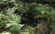 Myers Creek Cascades Luxury Cottages - thumb 41