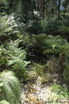Myers Creek Cascades Luxury Cottages - Accommodation Adelaide 41