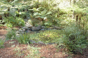 Myers Creek Cascades Luxury Cottages - Accommodation Adelaide 42