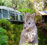 Huon Bush Retreats - Accommodation Adelaide