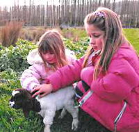 Huon Valley Caravan Park - Accommodation Adelaide