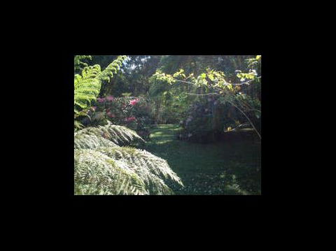 A Country House At Winstanley - Accommodation Adelaide 4