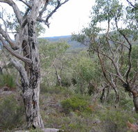 The Glen - Accommodation Adelaide
