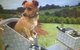 Farm Accommodation - thumb 1
