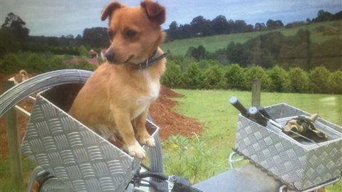 Farm Accommodation - Accommodation Adelaide 1