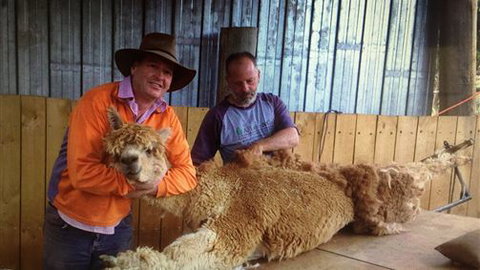 Farm Accommodation - Accommodation Adelaide 3
