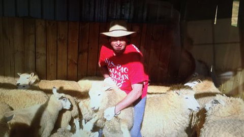 Farm Accommodation - Accommodation Adelaide 2