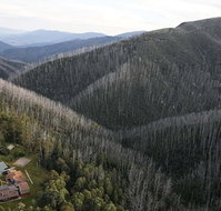 Howmans Gap Alpine Centre YMCA - Accommodation Adelaide