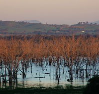 Salisbury - Accommodation Adelaide