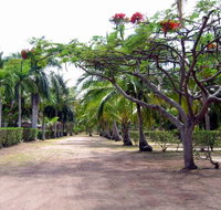 Alva Beach Tourist Park - Accommodation Adelaide