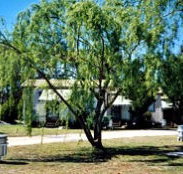 Blue Topaz Caravan Park  Camping Ground - Accommodation Adelaide
