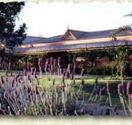 Bluebush Estate - Accommodation Adelaide