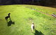 Farm Accommodation - thumb 8