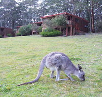 Jenolan Caves Cottages - Accommodation Adelaide