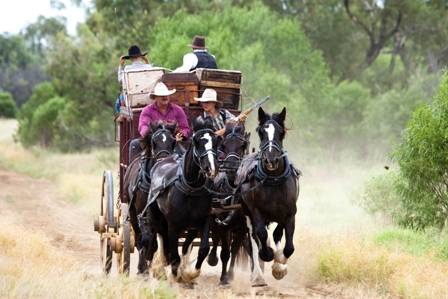Kinnon & Co Outback Lodges - Accommodation Adelaide 6