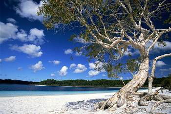 Mercure Kingfisher Bay Resort - Accommodation Adelaide 9