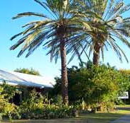 Merino Motor Inn - Accommodation Adelaide