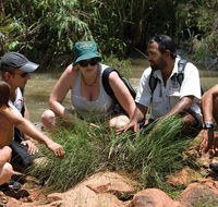 Nitmiluk Tours  Accommodation - Accommodation Adelaide