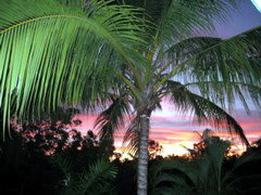 Palmerston Sunset Retreat - Accommodation Adelaide 4